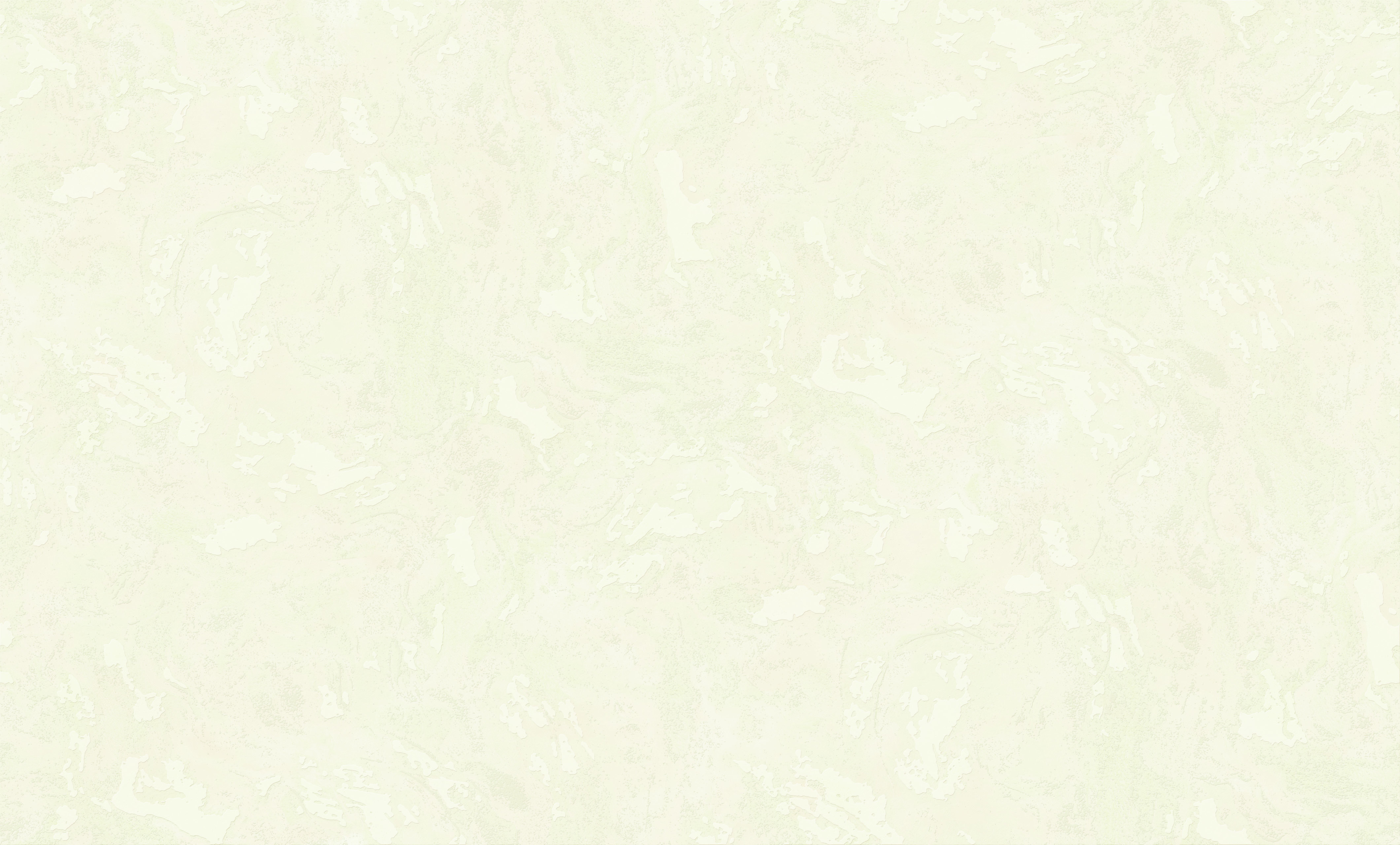 P24 91134
